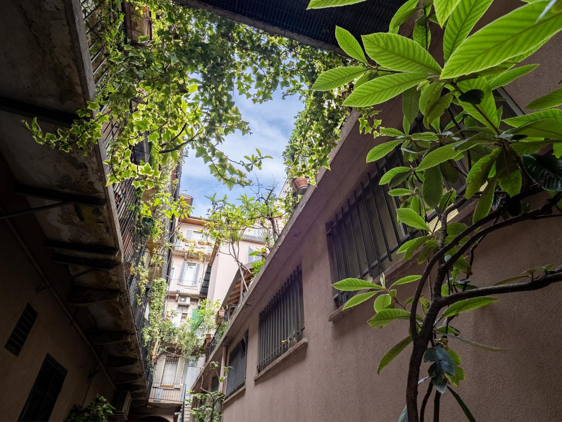 Nawa Navigli